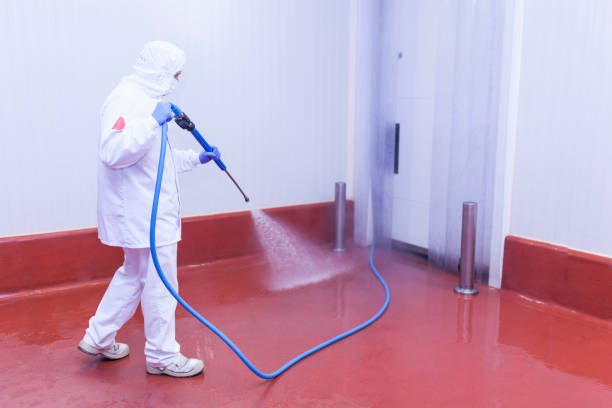 Professional Pressure Washing in Green Knoll, NJ
