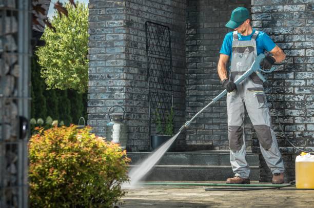 Best Solar Panel Cleaning  in Green Knoll, NJ